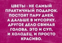 scale_2400 (2).webp
