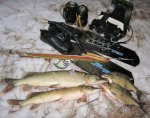 IMG_20210323_203300.jpg