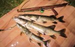 IMG_20210323_210447.jpg