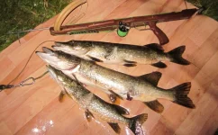 IMG_20210323_210447.webp