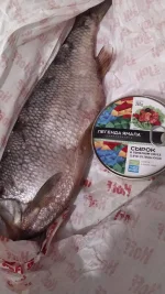 IMG-20210324-WA0063.webp