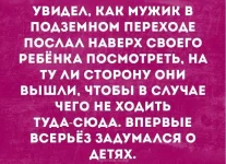 15423273.webp