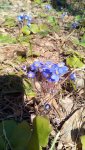 IMG_20210412_104218.jpg