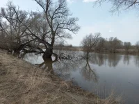 20210416_134639.webp
