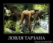 34c25056ddd4.webp