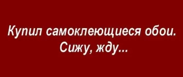 FB_IMG_1620379501011.webp