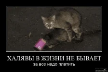 1620823534953.webp