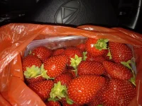 20210521_205241.webp