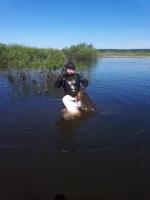 IMG-20210522-WA0011.webp