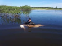 IMG-20210522-WA0012.webp