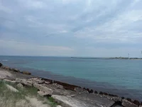 20210524_121703.webp