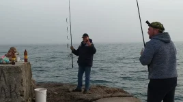 IMG-20210526-WA0032.webp