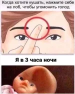 FB_IMG_1622542327960.webp