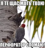 _a-01.webp