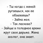 _a-34.webp