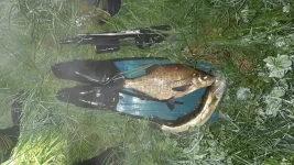 20210604_014208.webp