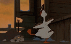 SmartSelect_20210605-121613_Gallery.gif