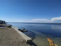 IMG-20210607-WA0002.webp