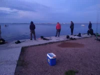 IMG-20210607-WA0009.webp