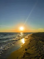 IMG-20210608-WA0005.webp
