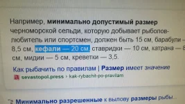 IMG-20210609-WA0003.webp