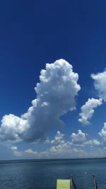 IMG-20210609-WA0010.webp