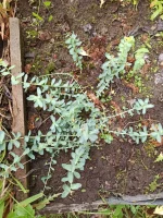 IMG-20210609-WA0020.webp