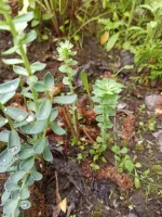 IMG-20210609-WA0021.webp