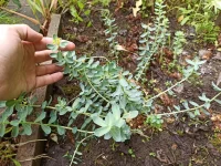IMG-20210609-WA0019.webp