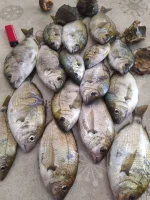 IMG-20210610-WA0001.webp