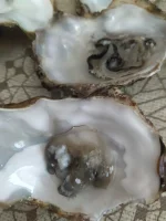 IMG-20210610-WA0004.webp