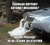FB_IMG_1623338996700.webp