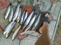 IMG-20210611-WA0001.webp
