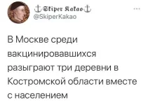 15650453.webp