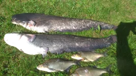 IMG-20210620-WA0009.webp