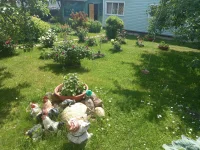 20210621_134715.webp