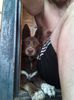 IMG-20210627-WA0018.webp