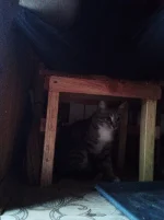 IMG-20210627-WA0021.webp