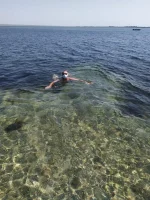 IMG-20210626-WA0000.webp