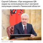 15687540.webp