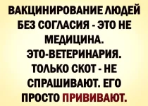 kPhJWDXQnKE.webp