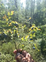 20210705_114029.webp