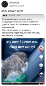 24eab6d360d1.webp