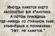 FB_IMG_1625743959620.webp