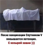 FB_IMG_1625986751090.webp
