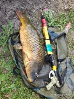 IMG-20210710-WA0001.webp