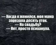 FB_IMG_1626169504317.webp