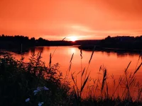IMG_20210714_210804.webp