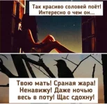 FB_IMG_1626429789600.webp