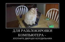 3c13b537d4e6.webp